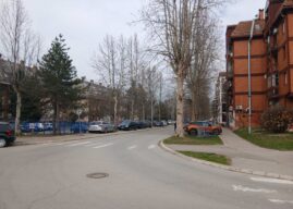 Обавештење о орезивању дрвећа у насељу Бановци-Дунав