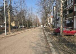 Обавештење у вези орезивања дрвећа у насељу Бановци-Дунав