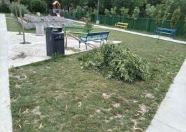 Осуда вандалског чина у парку у Новој Пазови