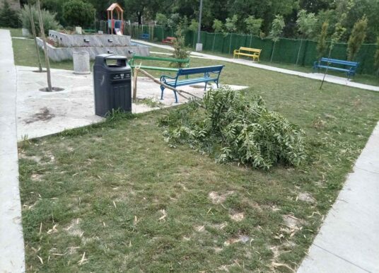 Осуда вандалског чина у парку у Новој Пазови